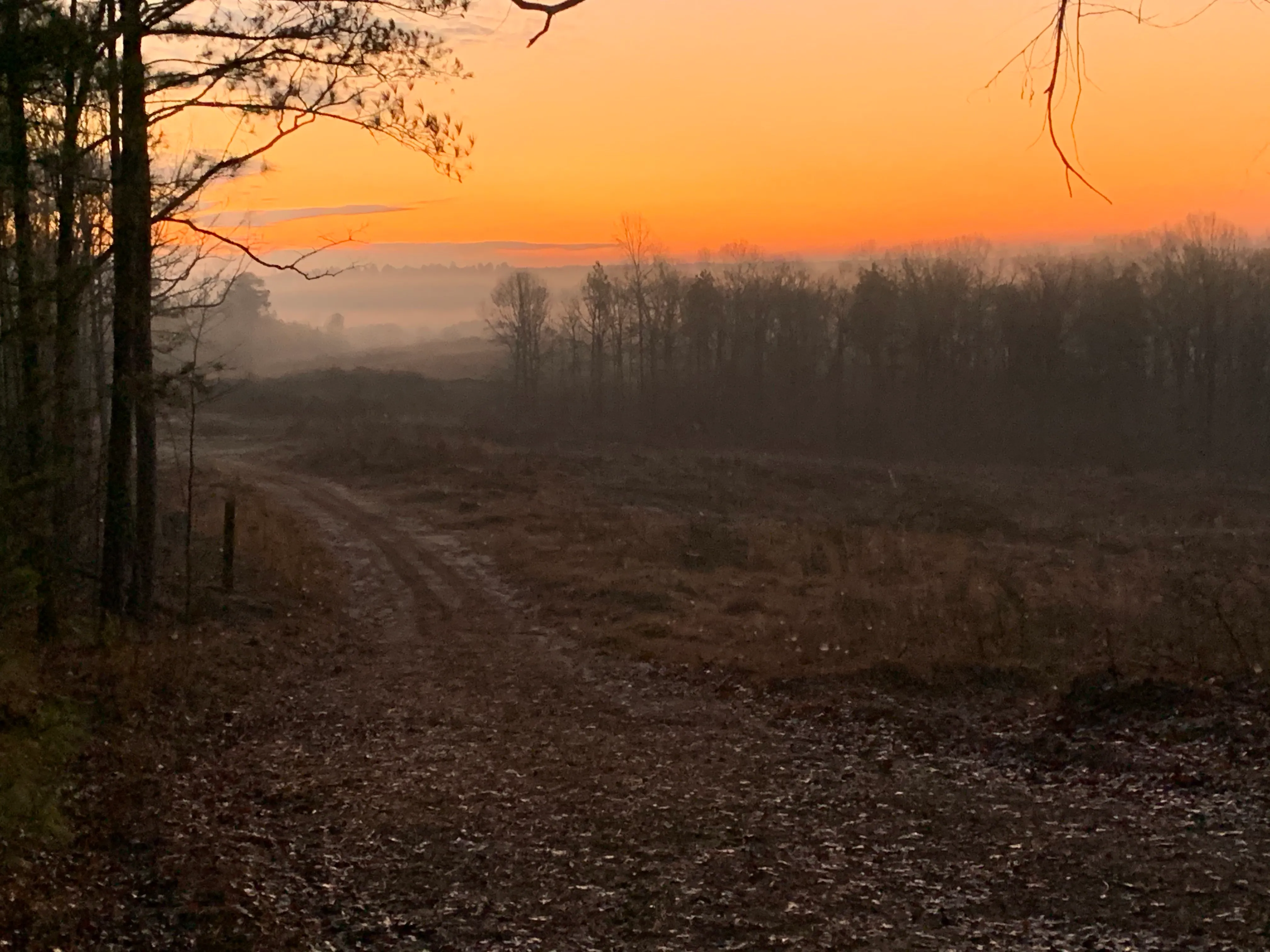 Original plot of land for Warrior Rendezvous farm in northeast Mississippi